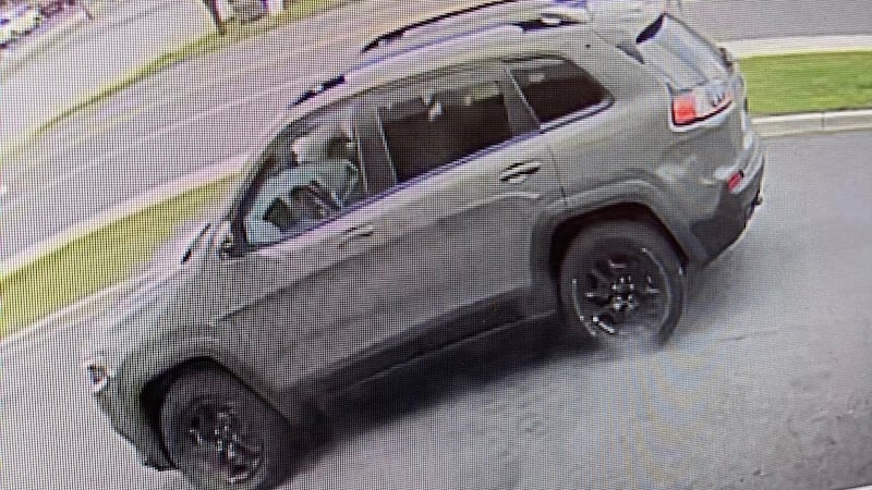 Wytheville purse snatchers getaway car