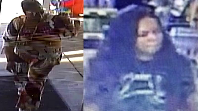 Two women sought in connection with arson at Dollar General in Martinsville