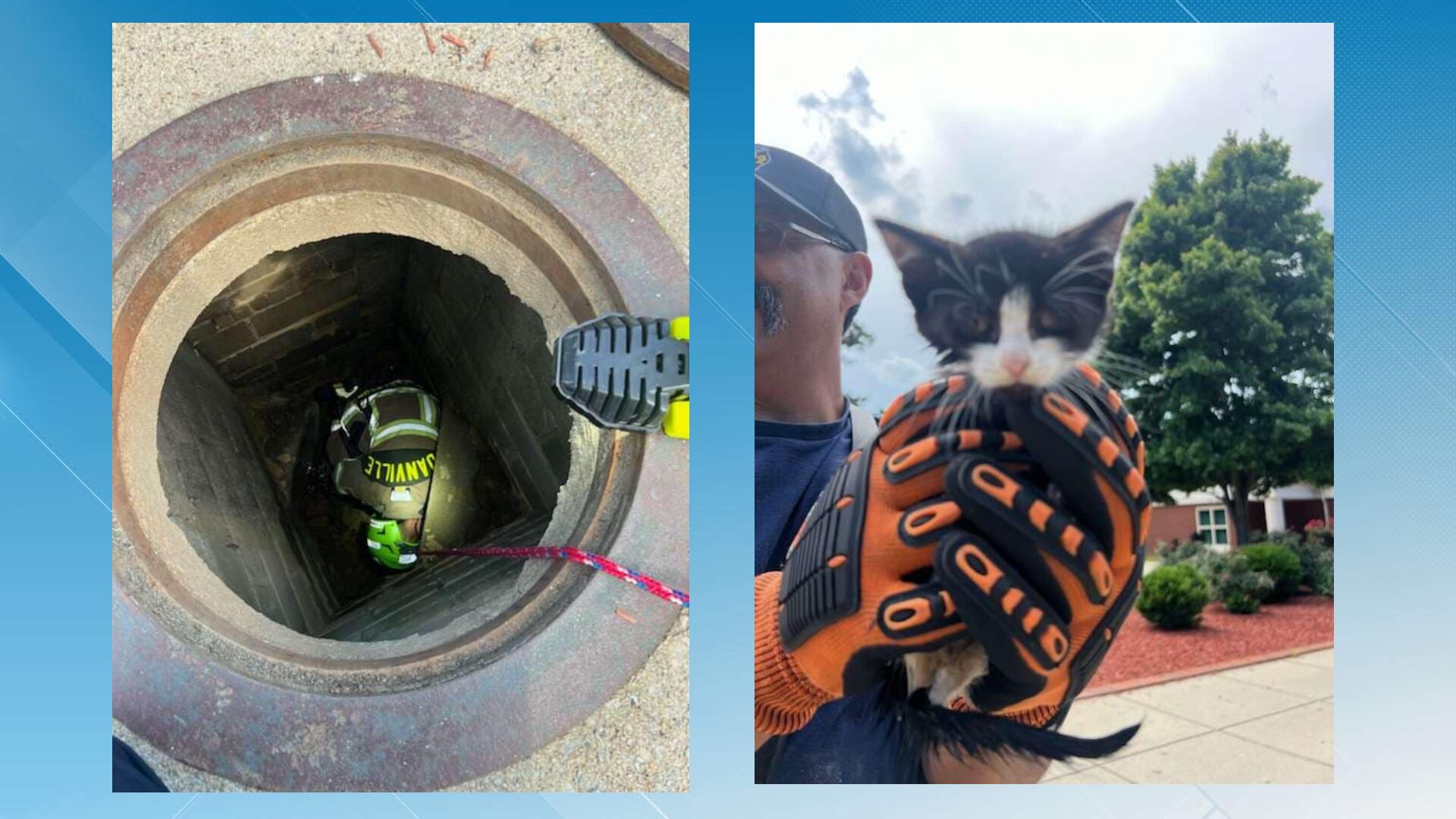 Danville firefighters rescue kitten trapped in drainage pipe - Vimarsana News