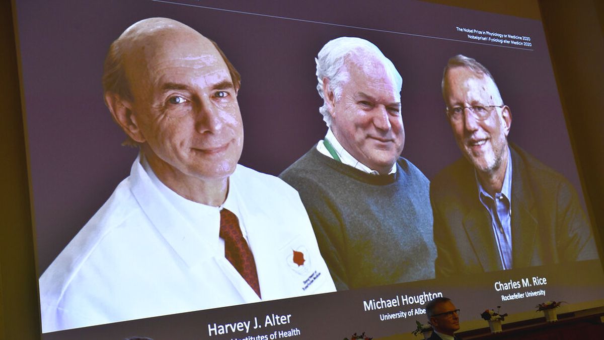 The 2020 Nobel laureates in Physiology or Medicine are announced during a news conference at the Karolinska Institute in Stockholm, Sweden, Monday Oct. 5, 2020. The prize has been awarded jointly to Harvey J. Alter, left on screen, Michael Houghton, center, and Charles M. Rice for the discovery of the Hepatitis C virus.